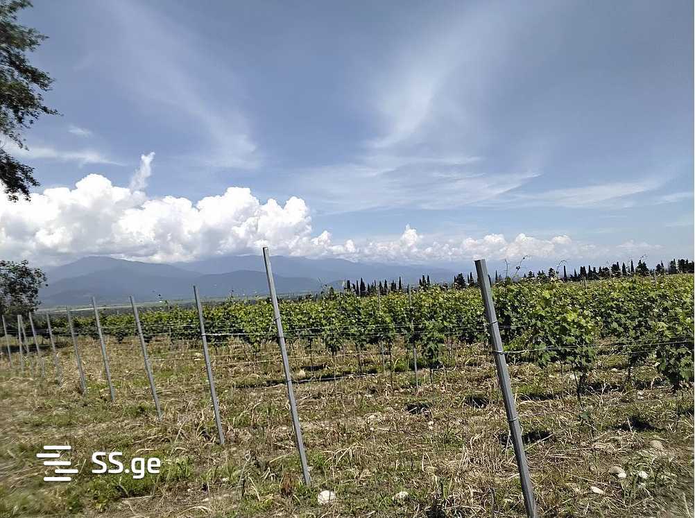 Land For Sale. Telavi, 1 of 4