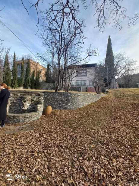https://static.ss.ge/20250502/7_b551ce9b-9e2e-46d9-bd23-f0d8b0e54caf_Thumb.jpg