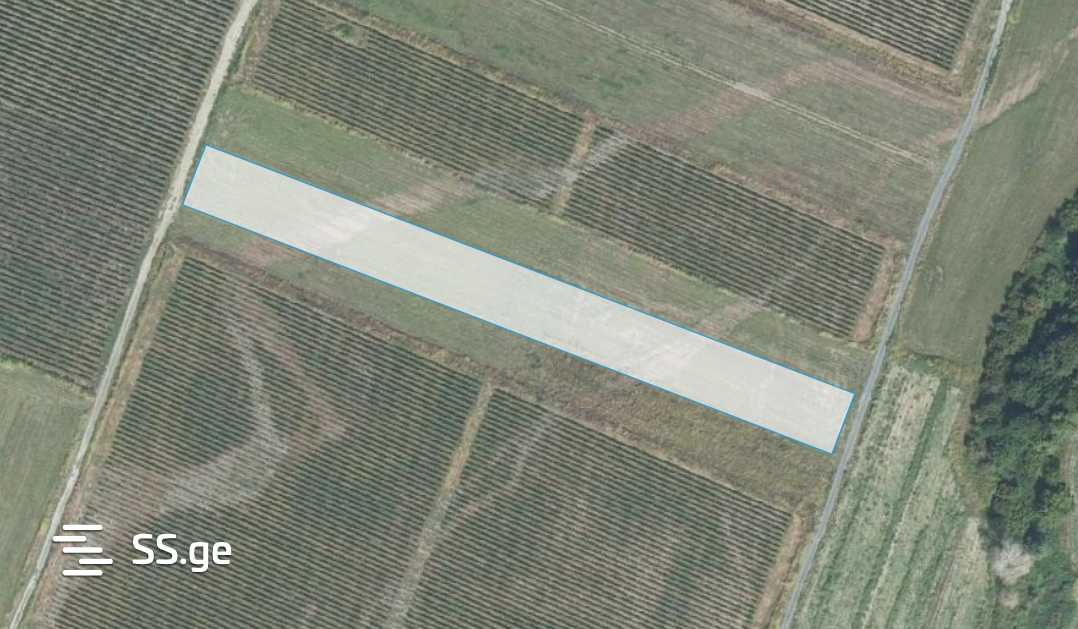 Продажа Agricultural Plot в In Kvareli view 7