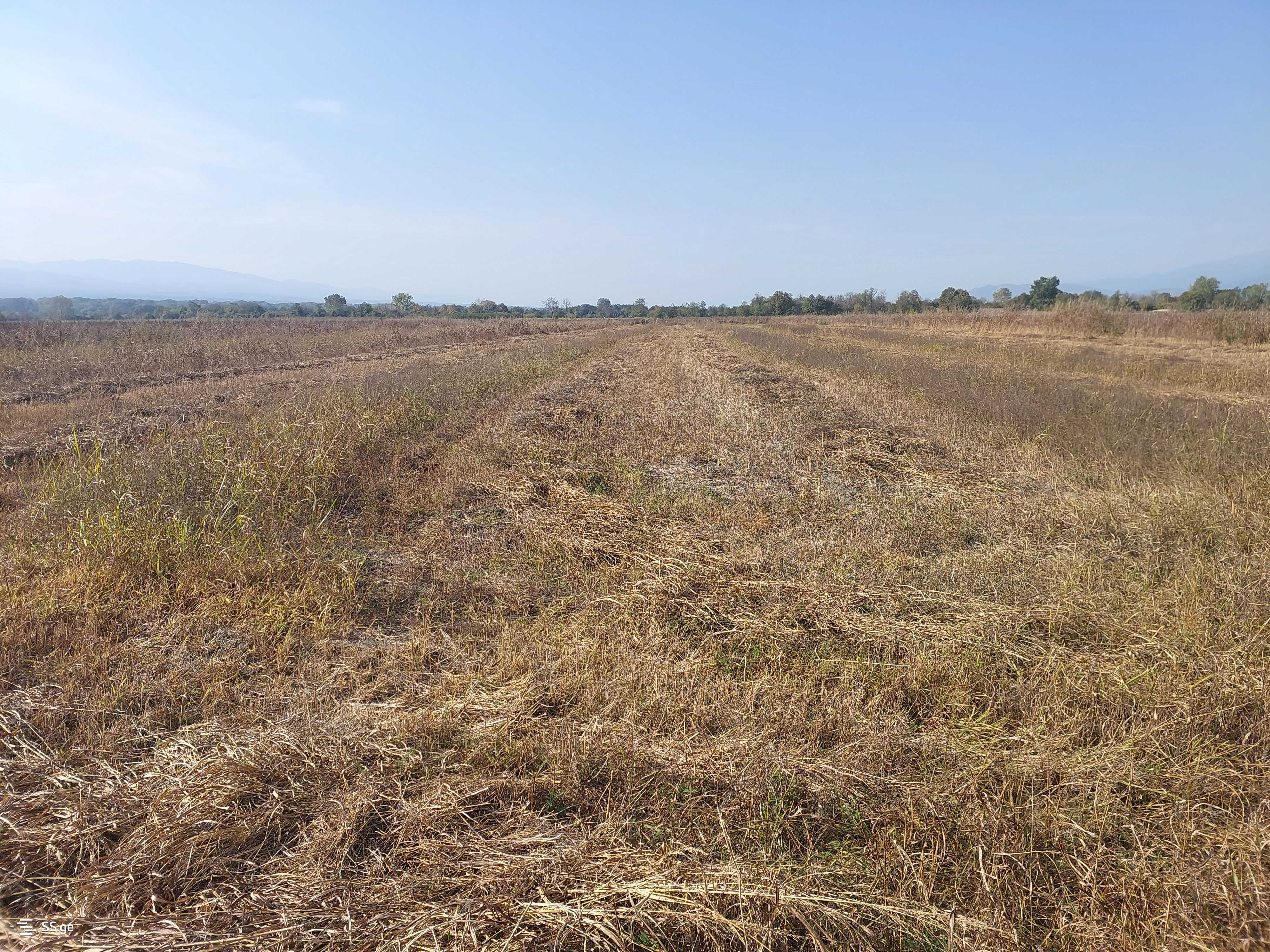 Продажа Agricultural Plot в In Kvareli view 6