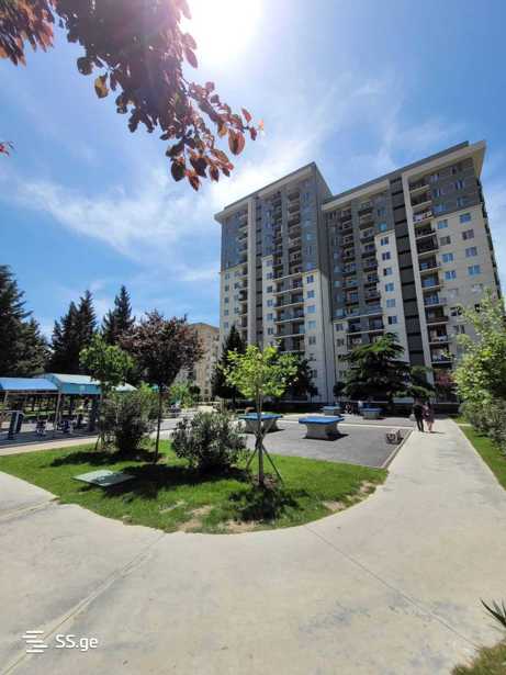 https://static.ss.ge/20250503/12_e998733a-77a5-4f37-82be-e0a8f07c740a_Thumb.jpg
