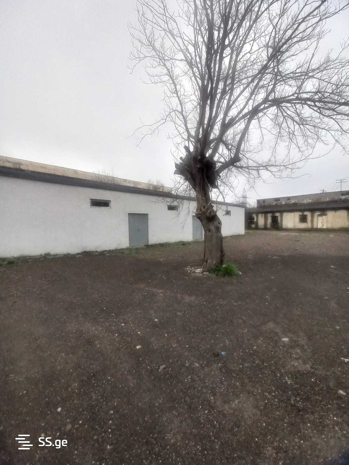 იყიდება Store-Industrial Property რუსთავიში view 5