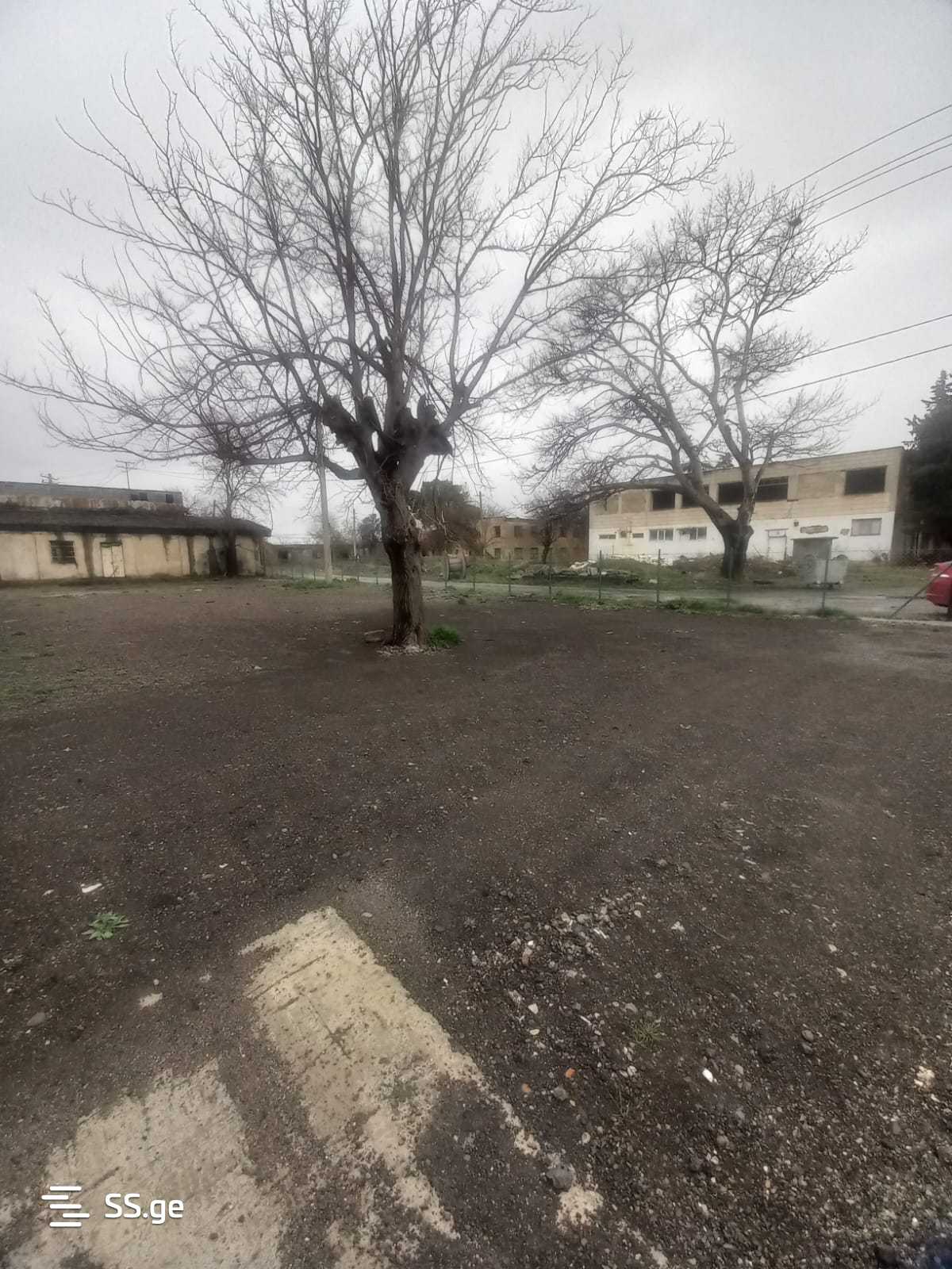 იყიდება Store-Industrial Property რუსთავიში view 2