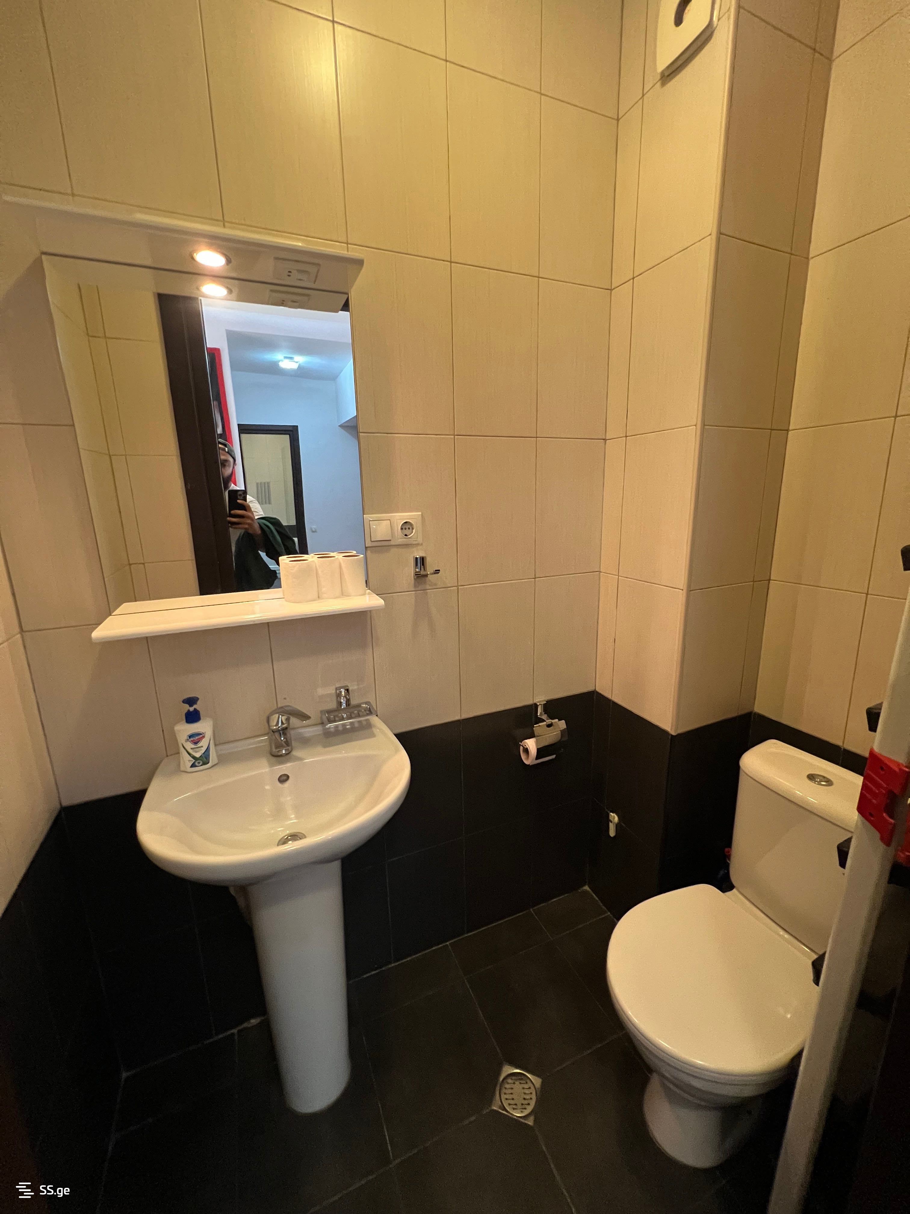 3 room Flat For Rent. Mtatsminda - Widok 5