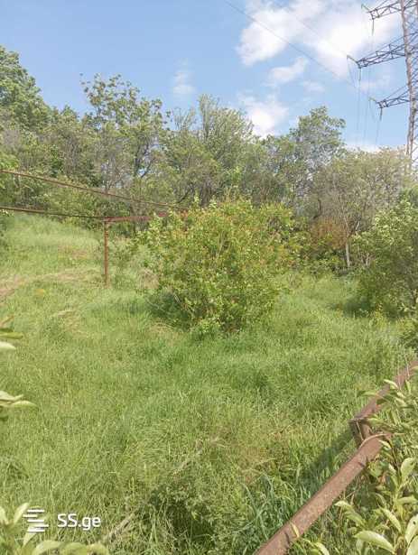 https://static.ss.ge/20250506/15_e7fd9086-5959-41d3-88d6-1f46795ae12a_Thumb.jpg