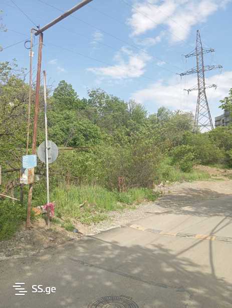 https://static.ss.ge/20250506/1_575d7662-ee43-421a-a71a-f3f89c62de1f_Thumb.jpg