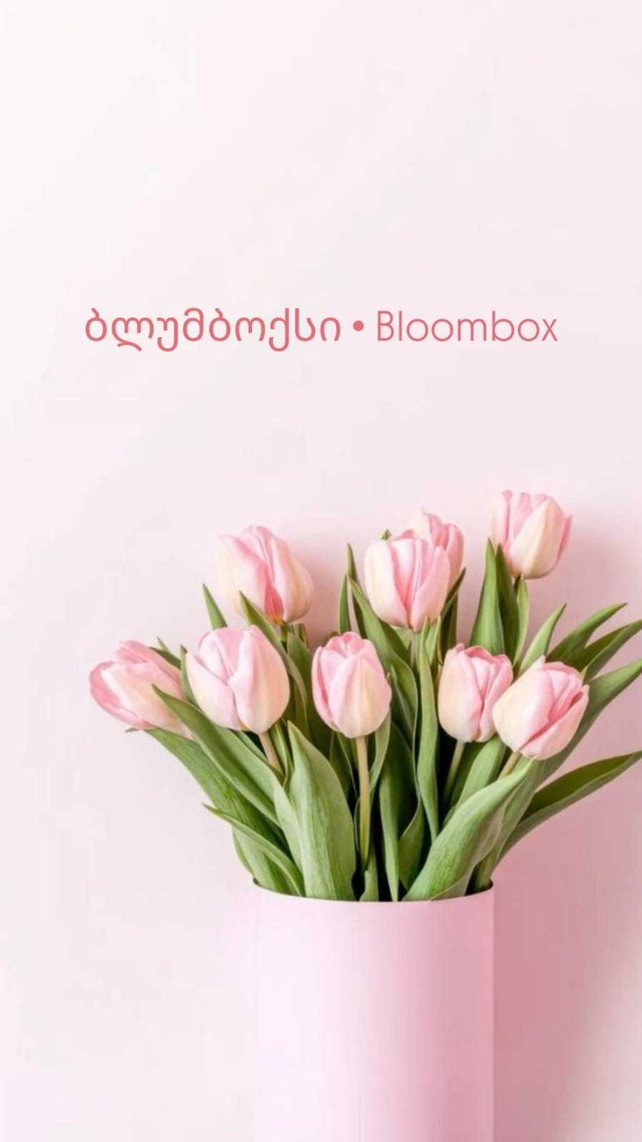 ბლუმბოქსი • Bloombox