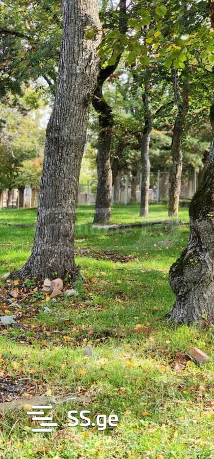 Land For Sale. Kojori view 3