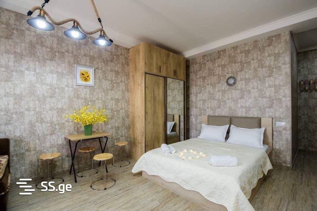 1 room Flat Daily rent. Isani - Vista 2
