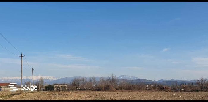 https://static.ss.ge/20250508/0_9b3ca47e-8d56-4a5a-985a-268e318216d9_Thumb.jpg