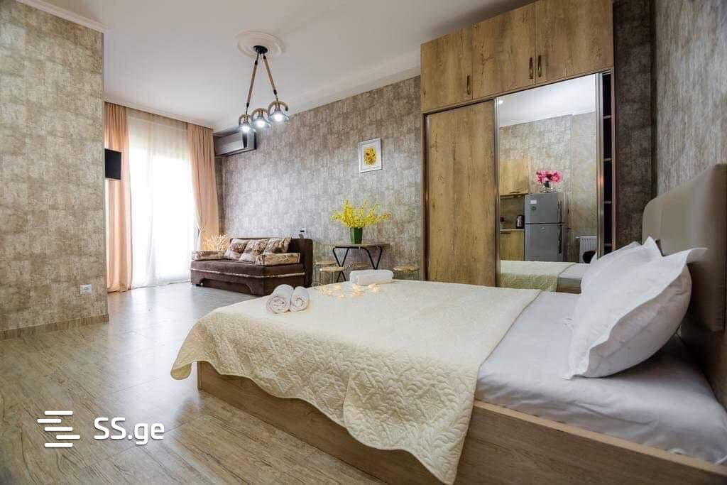 1 room Flat Daily rent. Isani - Vista 3
