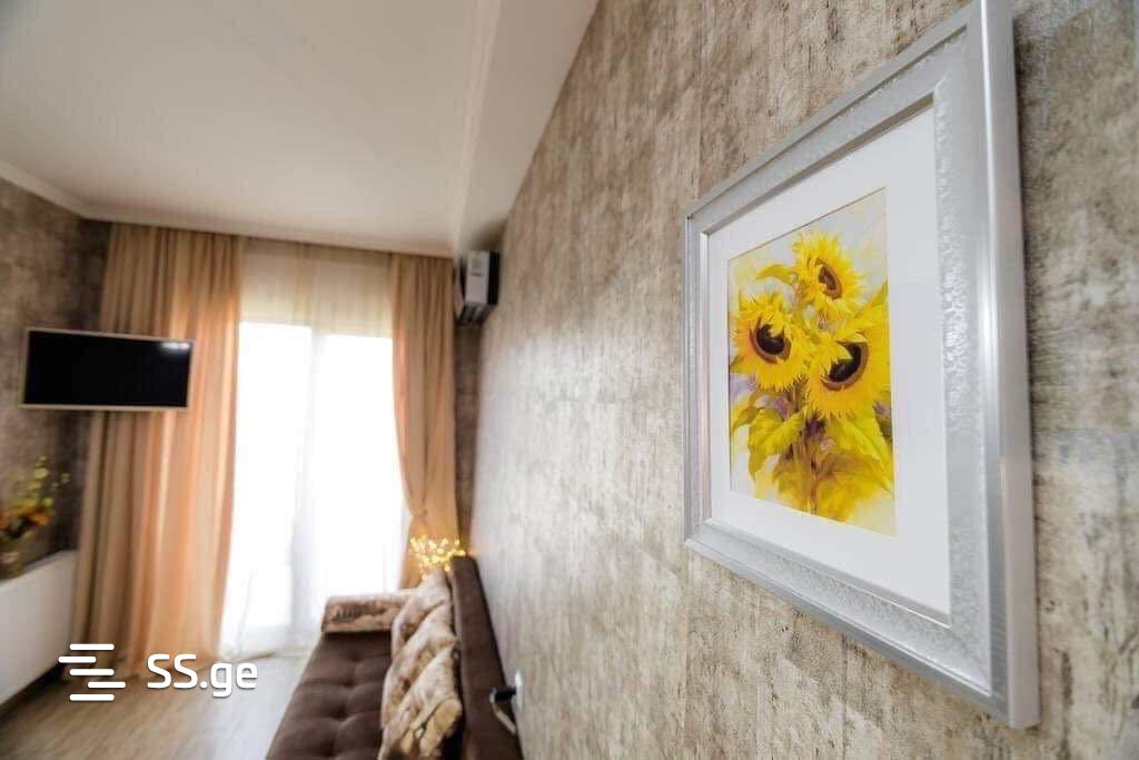 1 room Flat Daily rent. Isani - Vista 4