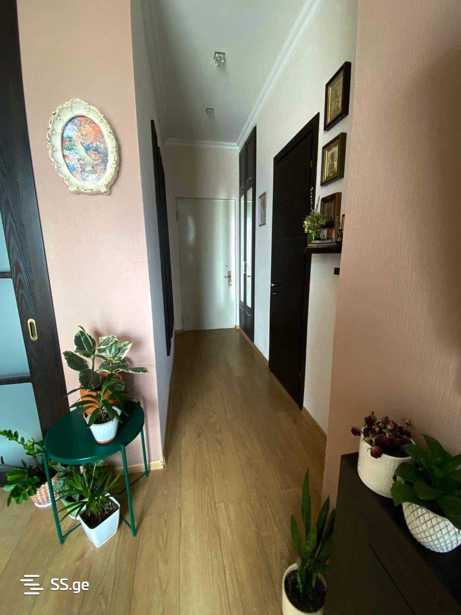 https://static.ss.ge/20250508/17_c88cc014-8372-4efc-a4d9-9eaa097f71a7_Thumb.jpg