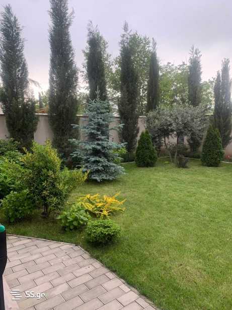 https://static.ss.ge/20250509/1_7a6e594d-ac60-47eb-8853-f39cabc749c7_Thumb.jpg