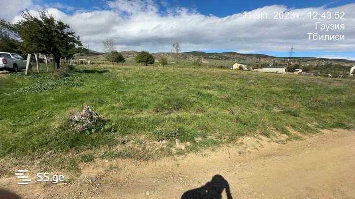 https://static.ss.ge/20250509/5_a367c50a-7129-4514-a961-ecb0a283f792_Thumb.jpg