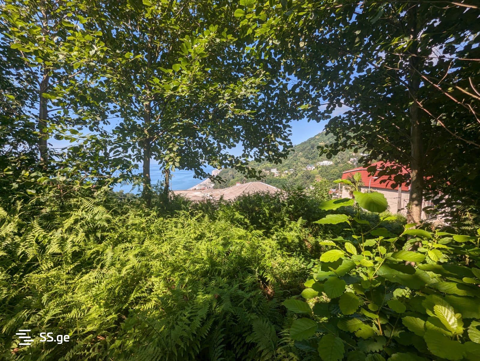 Land For Sale. Kvariati view 7