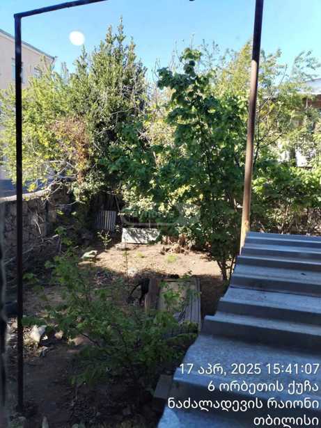https://static.ss.ge/20250512/11_9544f13d-f394-498a-94c2-635dba2c93af_Thumb.jpg