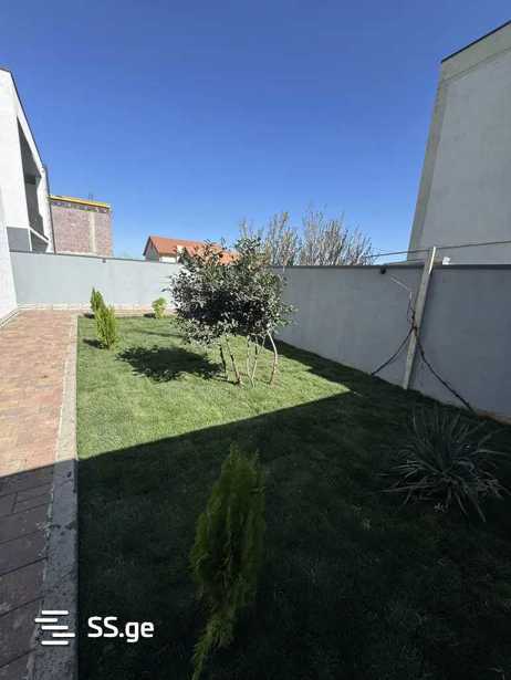 https://static.ss.ge/20250512/4_69af9265-c773-4760-b424-e83503d9a5bc_Thumb.jpg