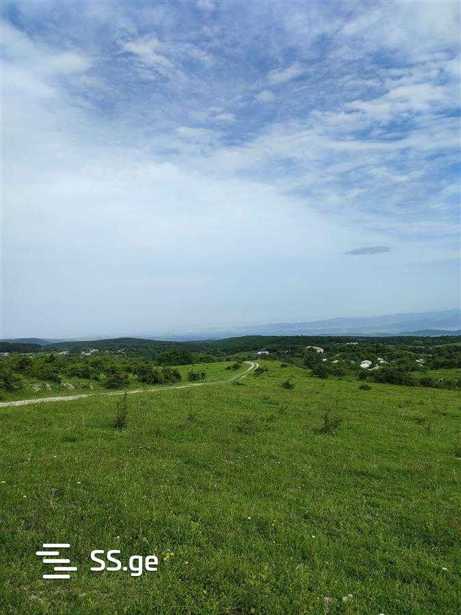 https://static.ss.ge/20250513/0_40c50ed7-f03b-4f80-90e7-193c5f499a69_Thumb.jpg