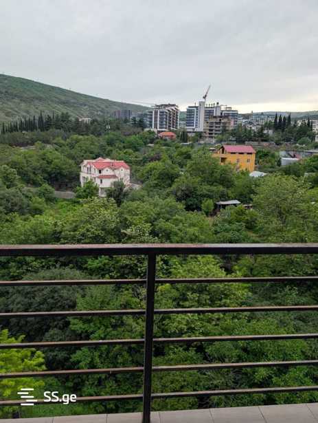 https://static.ss.ge/20250513/14_6550341b-6db4-4057-9197-4d0a38c4be32_Thumb.jpg