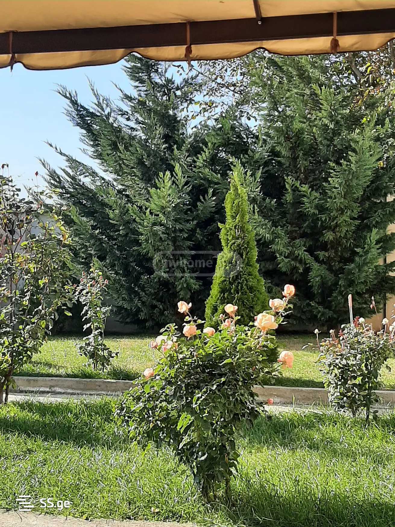 Private House For Rent. Tabakhmela view 1