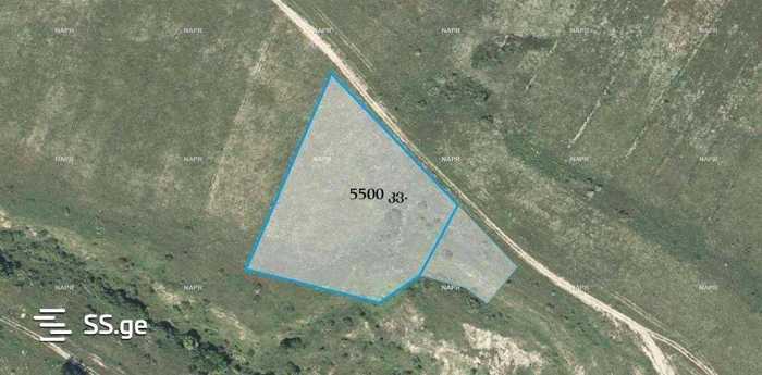 https://static.ss.ge/20250513/3_d04a85eb-0129-4ecc-89a6-a6945c415c42_Thumb.jpg