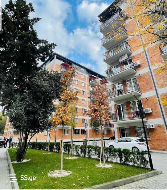 https://static.ss.ge/20250514/13_bba1192b-a9a2-489a-b29f-fd1f7234928a_Thumb.jpg