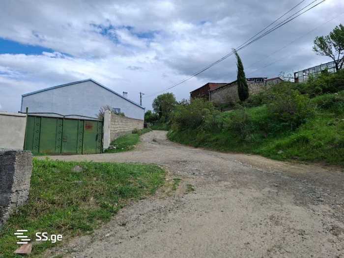https://static.ss.ge/20250515/6_6109c828-6ac7-45df-9d8b-b817ba595c8f_Thumb.jpg