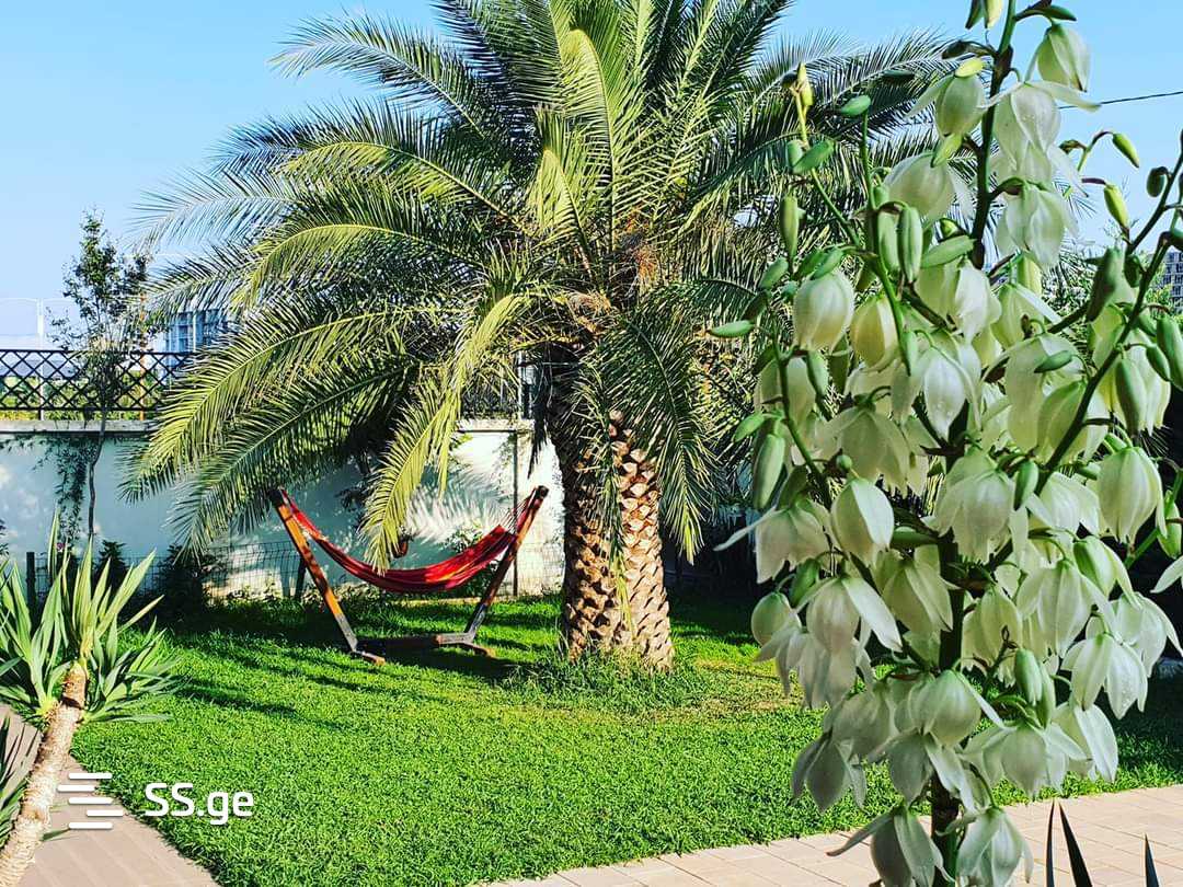5 Room Private House Daily Rent. Batumi view 6
