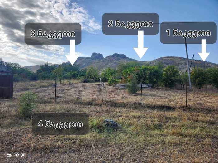 https://static.ss.ge/20250516/7_c1b6b991-9a8d-493c-90b6-8a6f40231586_Thumb.jpg