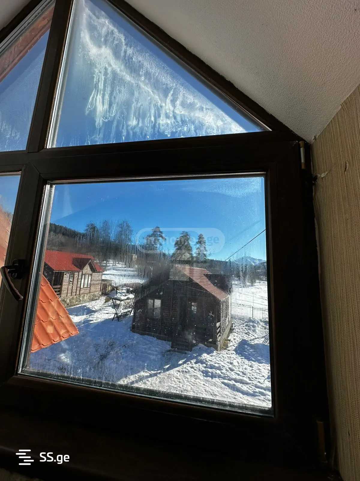 Summer Cottage For Sale. Bakuriani view 22