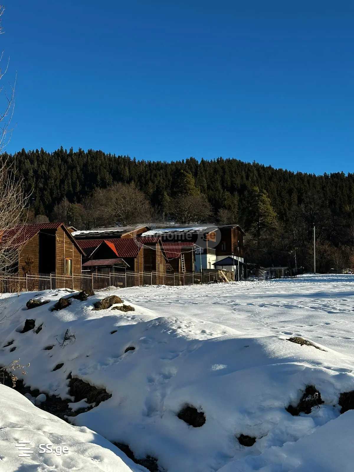 Summer Cottage For Sale. Bakuriani view 1