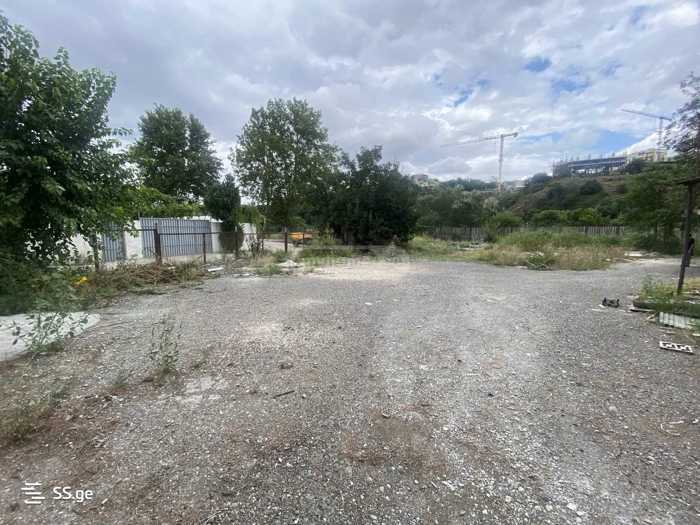 https://static.ss.ge/20250519/4_461ac9fa-daf5-498a-ab1c-73aa63ac5575_Thumb.jpg