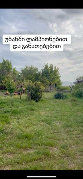 https://static.ss.ge/20250519/9_7f686f90-43c4-4120-8ccf-c9c595f95b9b_Thumb.jpg