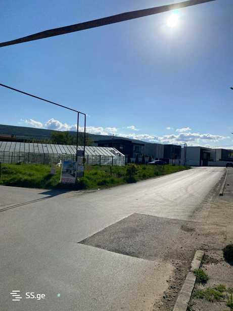 https://static.ss.ge/20250520/11_1bd1e189-6515-4215-8a8c-ed31f55ca112_Thumb.jpg