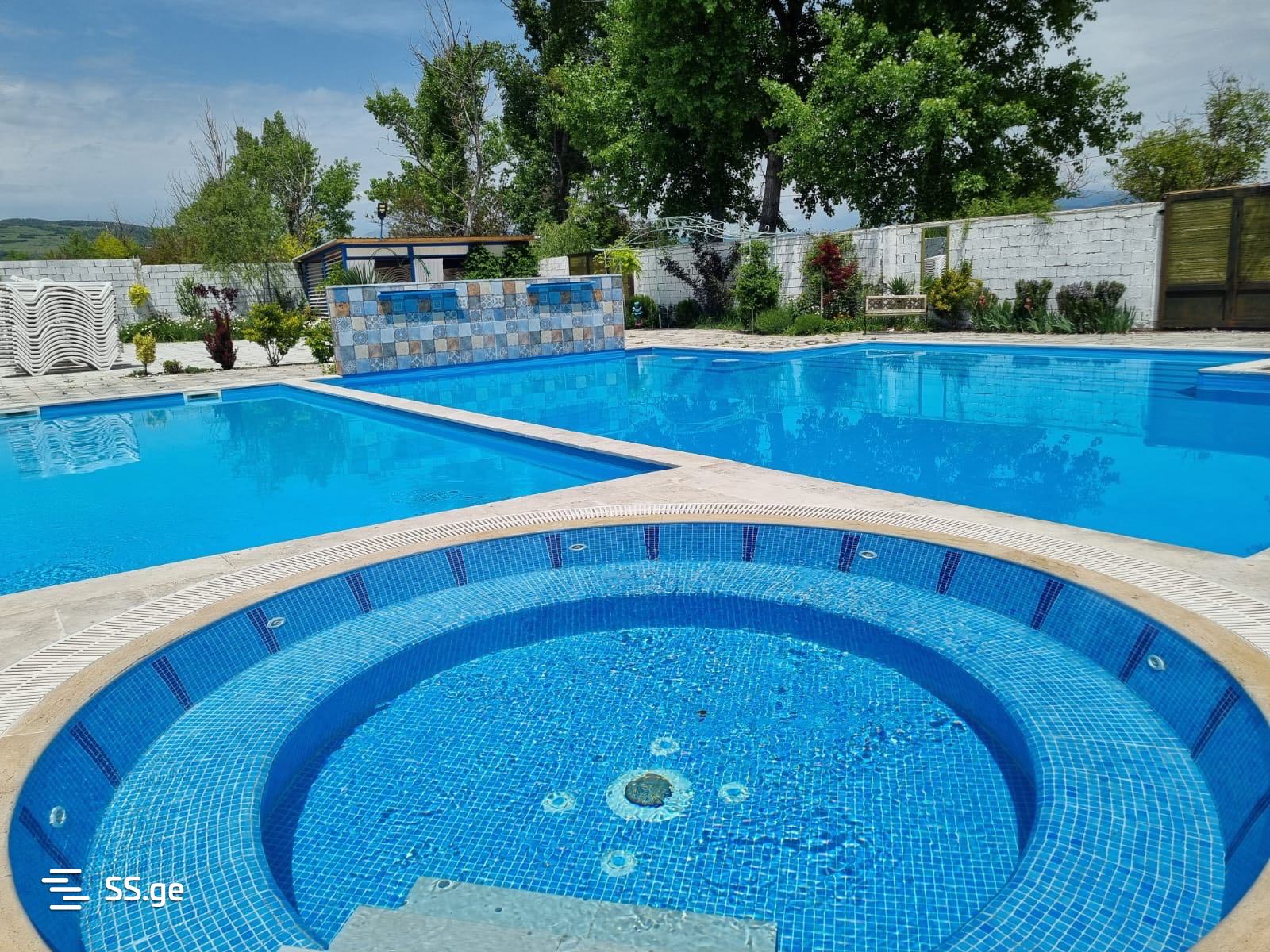 7 Room Summer Cottage Daily Rent. Bazaleti view 6