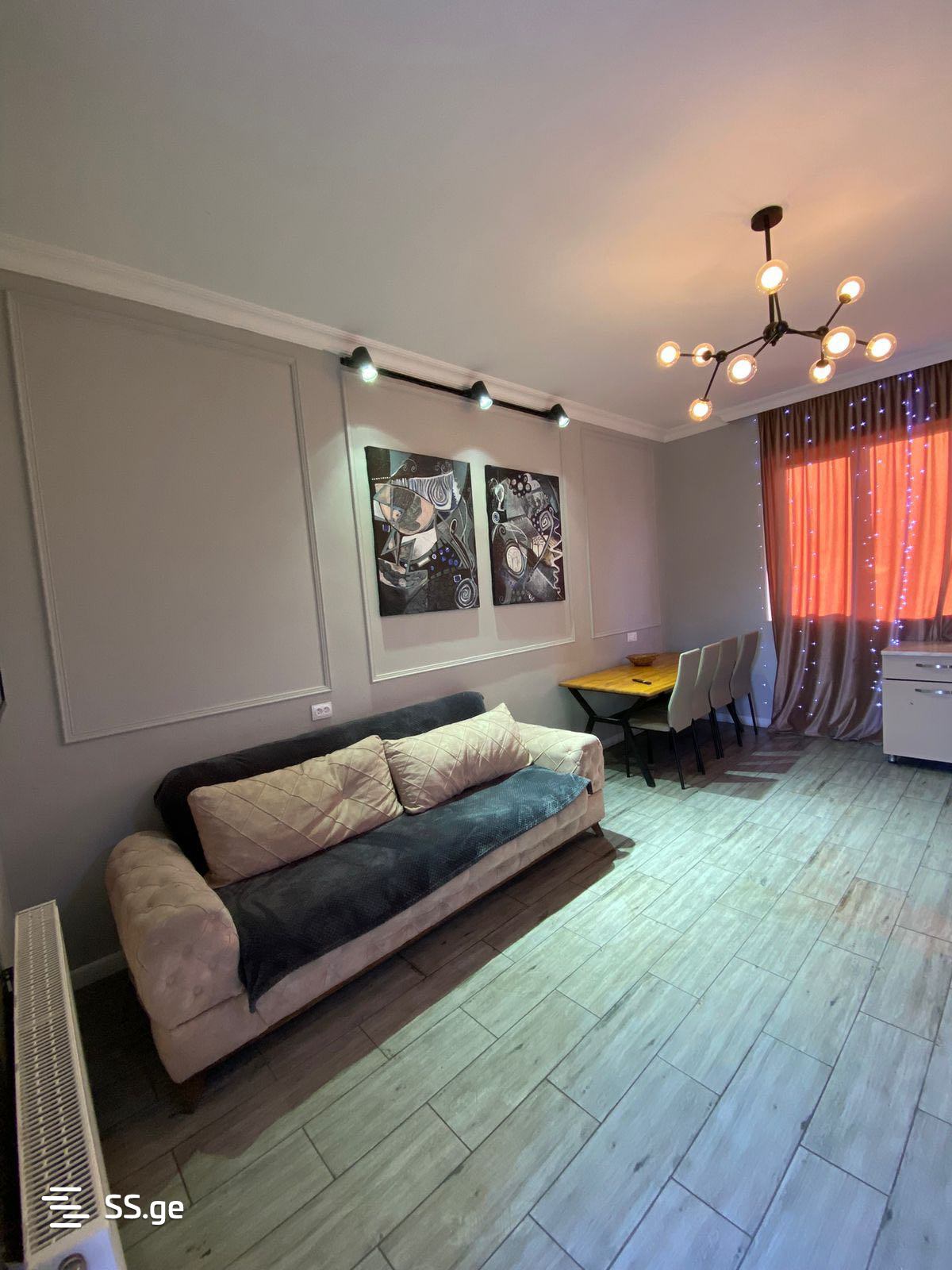 5 Room Private House Daily Rent. Saguramo view 10