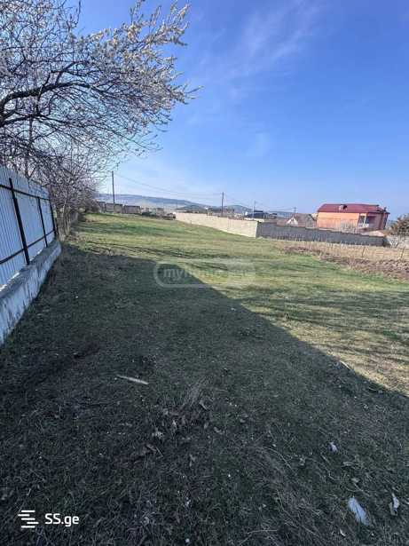 https://static.ss.ge/20250521/0_43a34ae2-7bf0-4a9f-a2c9-14c4ced57252_Thumb.jpg