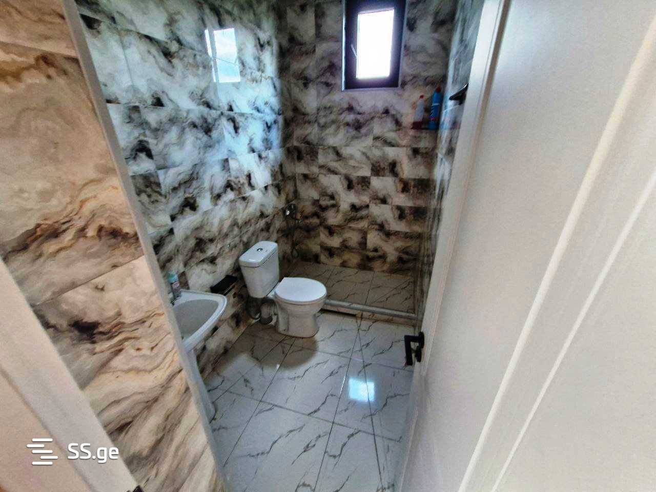 5 Room Private House Daily Rent. Bazaleti view 6