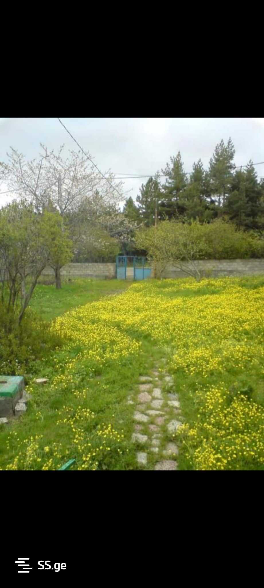 6 Room Summer Cottage For Sale view 2