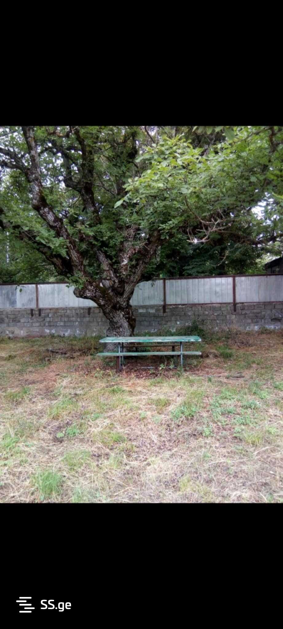 6 Room Summer Cottage For Sale view 5