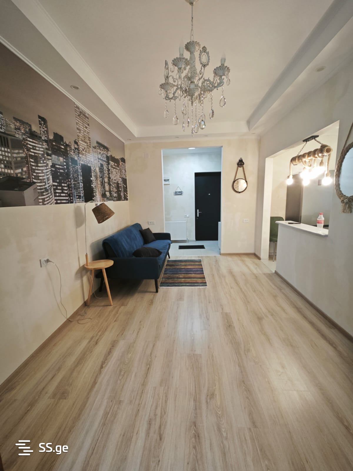 3 Room Flat Daily Rent. Kutaisi view 4