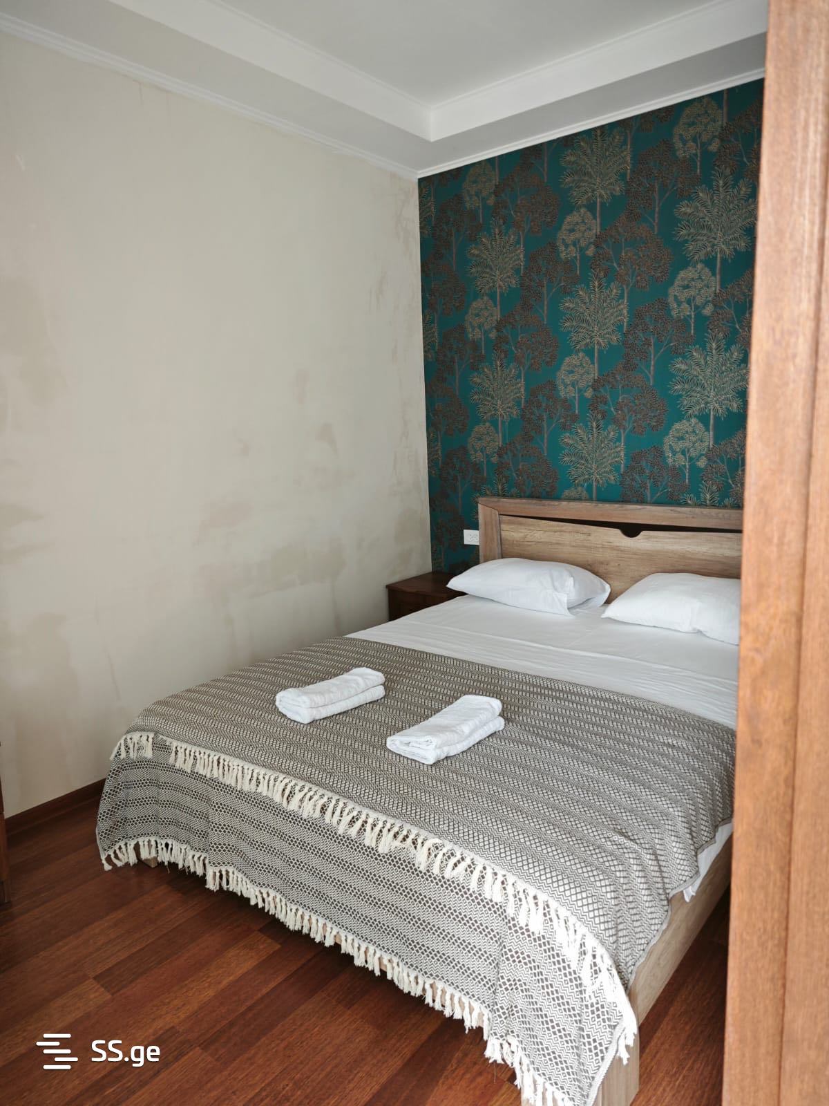 3 Room Flat Daily Rent. Kutaisi view 10