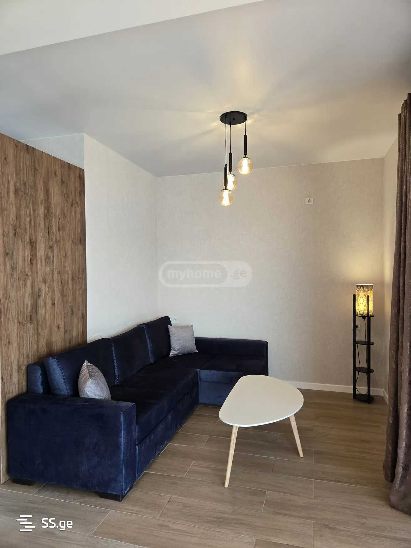 3 Room Private House For Rent. Chugureti, 8 of 12