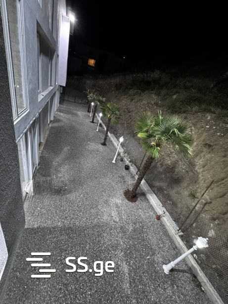 20 Room Hotel For Rent. Vashlijvari, 3 of 11