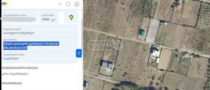 https://static.ss.ge/20250526/1_c8ddd541-d45f-48b5-936c-c7ed7cae7e70_Thumb.jpg