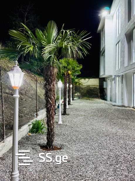 20 Room Hotel For Rent. Vashlijvari, 1 of 11