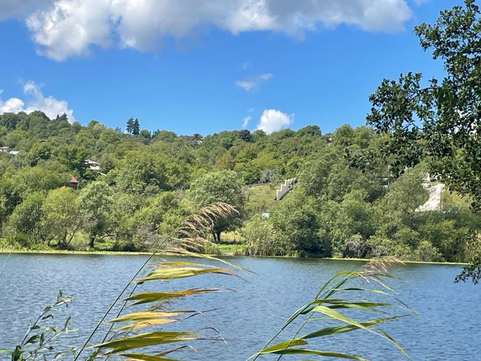 Land For Sale. Nikortsminda