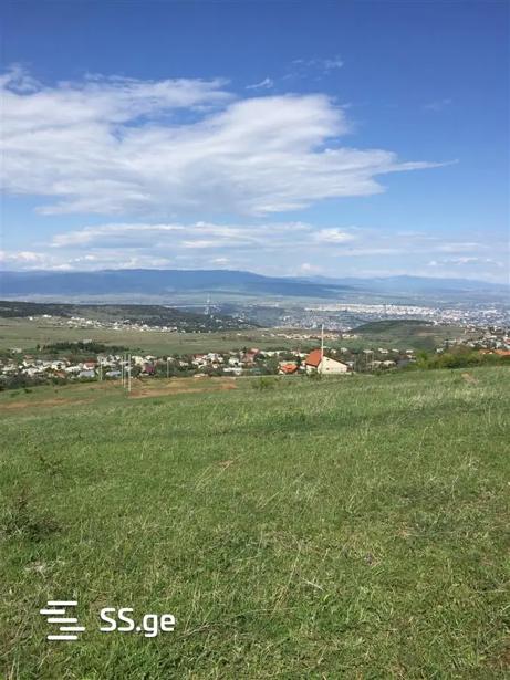 https://static.ss.ge/20250527/10_6849c377-4f60-4e04-84d2-0650e9fa7aab_Thumb.jpg