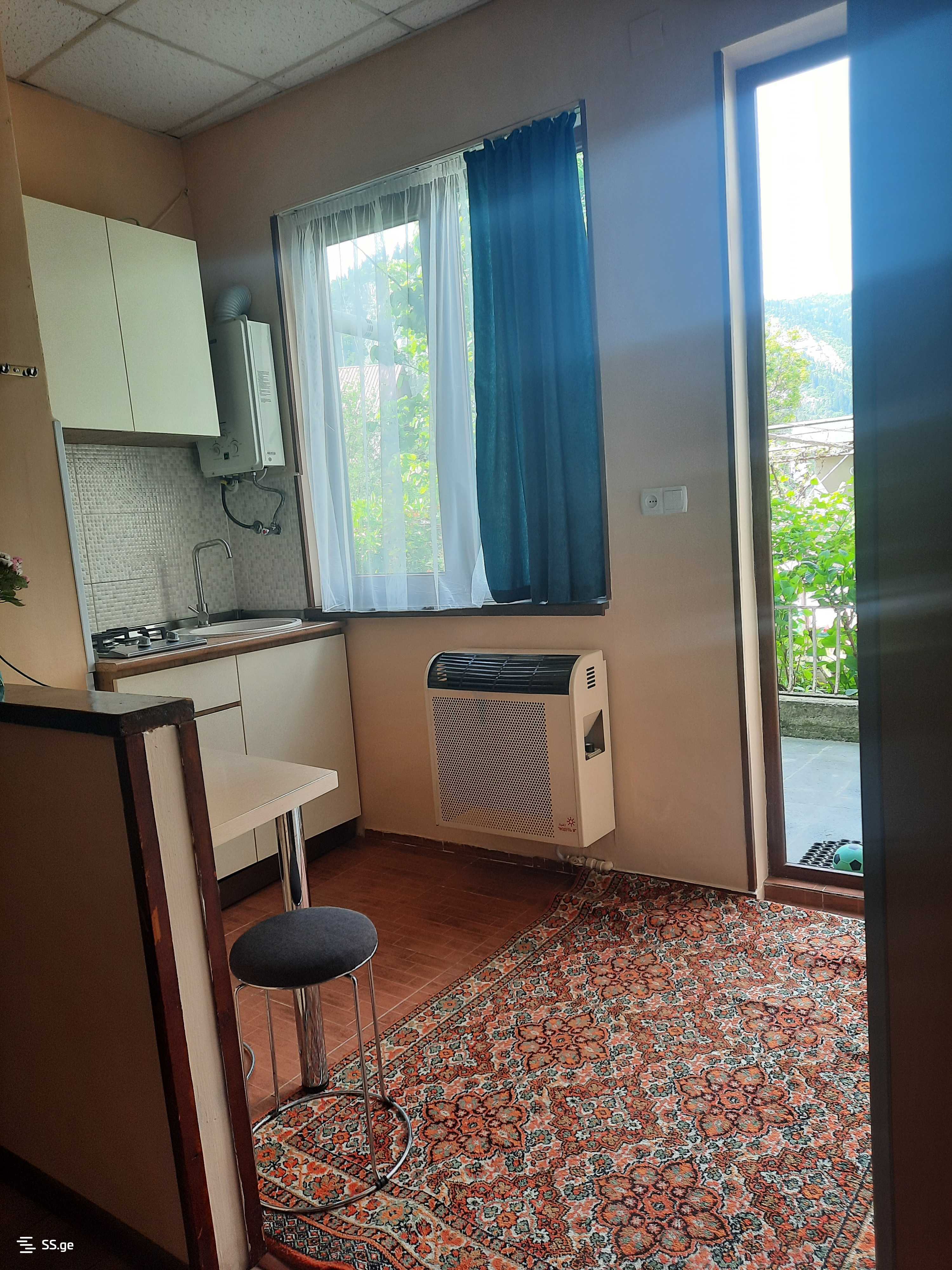 1 Room Private House Daily Rent. Borjomi view 7